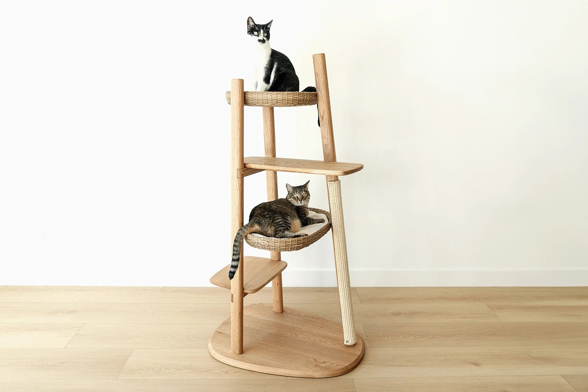 Two cats enjoying a sculptural cat tree