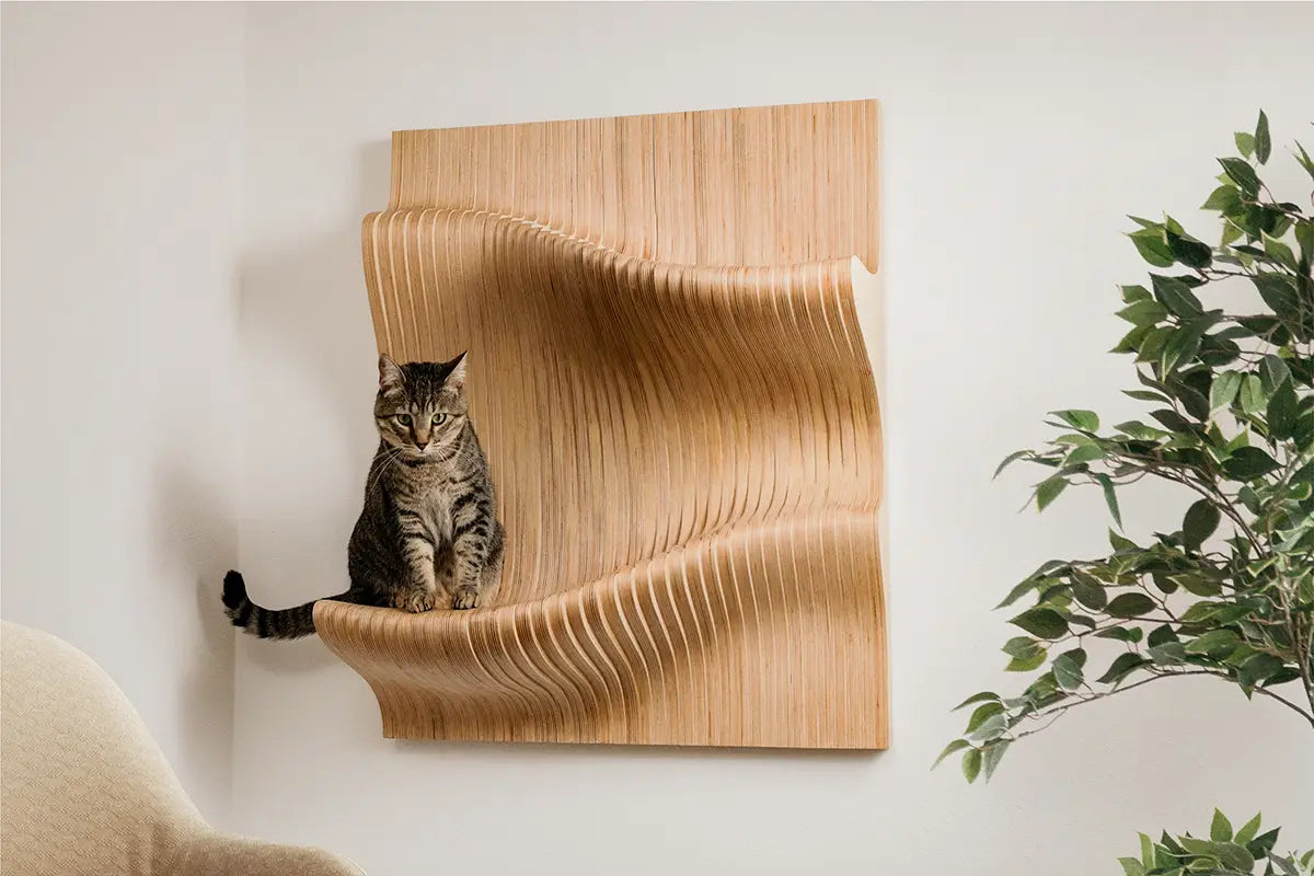 Cat sitting on sculptural wall furniture